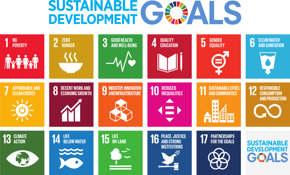 INF301_Sustainable Development TI